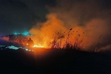 آتش سوزی در تالاب نوروزلو