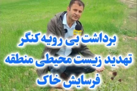 برداشت بی رویه گیاه کنگر