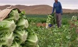 آب، خاک و زندگی؛ چرا حفاظت از محیط زیست میاندوآب یک ضرورت است؟
